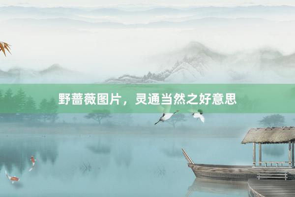 野蔷薇图片，灵通当然之好意思