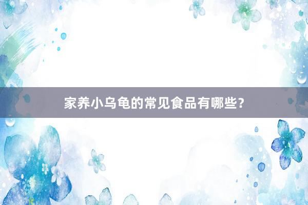 家养小乌龟的常见食品有哪些？