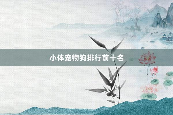 小体宠物狗排行前十名