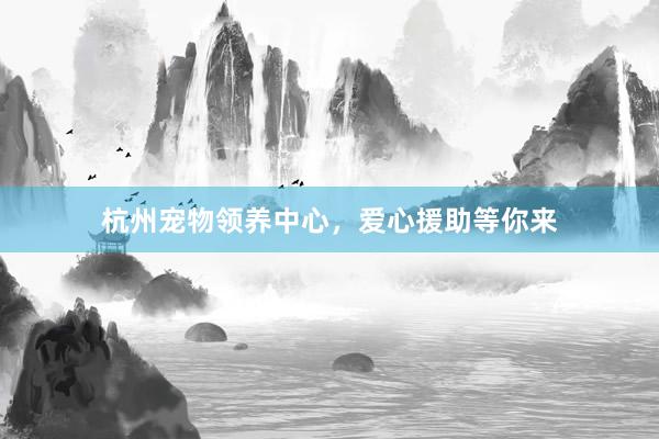 杭州宠物领养中心，爱心援助等你来